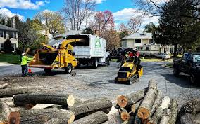 Best Artificial Turf Installation  in Coal Grove, OH