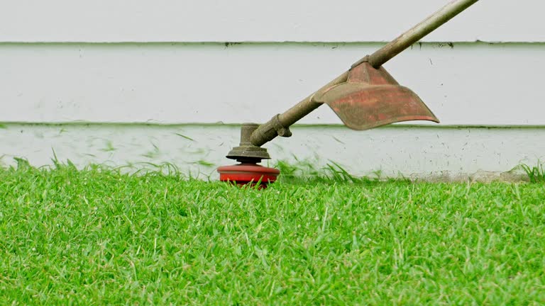 Best Grass Overseeding  in Coal Grove, OH